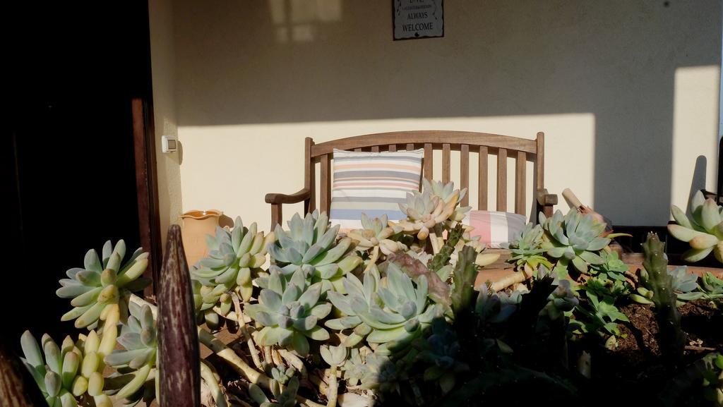Siderno B&B Le Rose מראה חיצוני תמונה